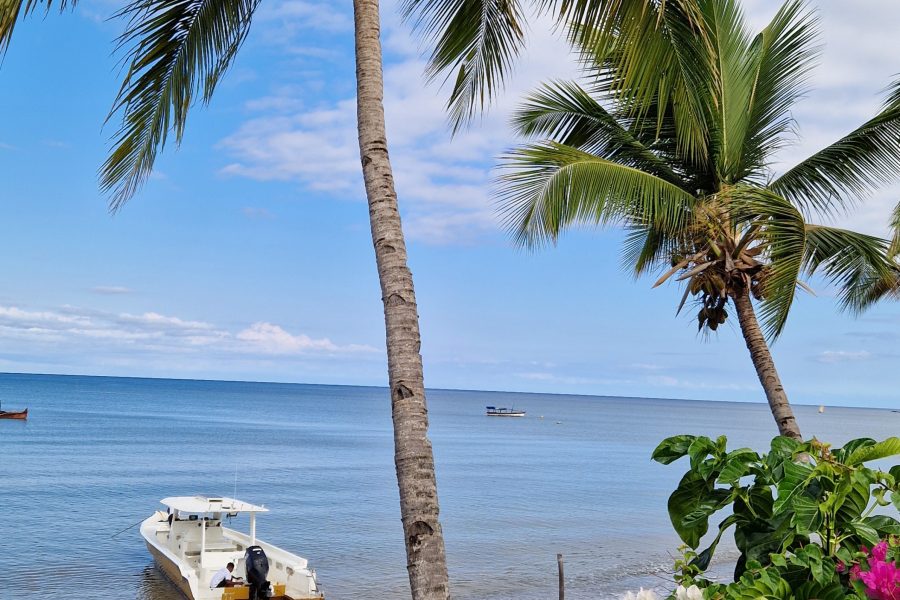 Belamandy Lodge + excursions