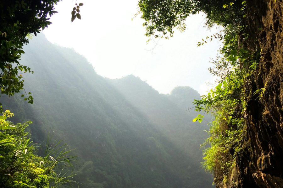 French tour – Vietnam en mélodie