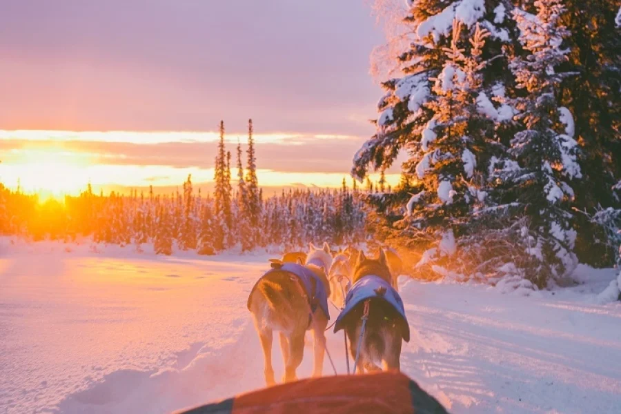 Fêtez la nouvelle année en Laponie !
