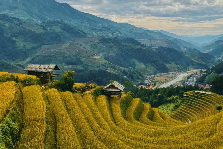 Circuit francophone – Vietnam en Mélodie – CARTATOUT