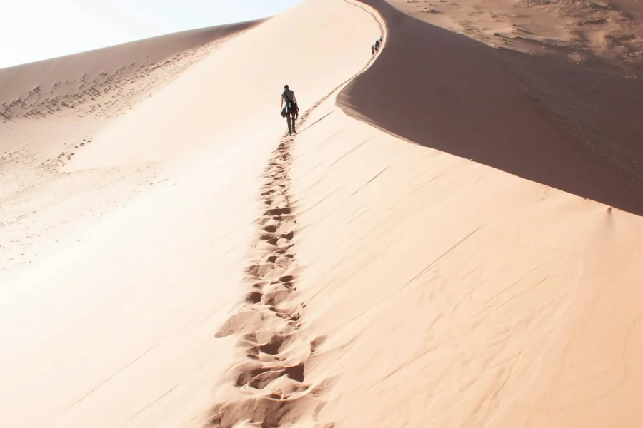 Circuit entre dune et réserves – Namibie