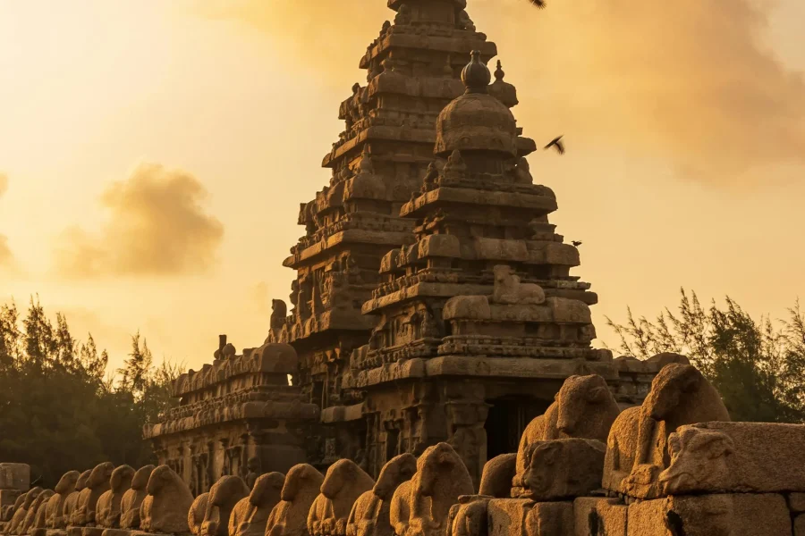 Discovering South India