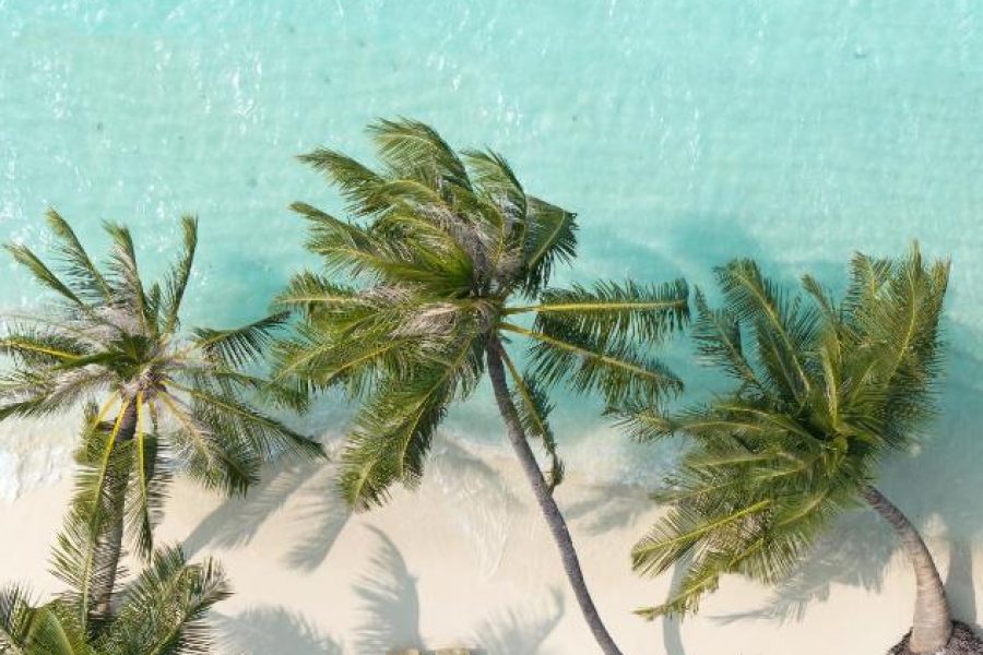 Maldives – Bandos Maldives 4****