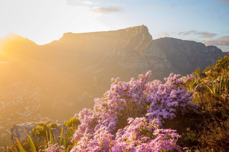 Cape Town for Couples